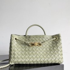 보테가 베네타 스몰 안디아모 백 E/W